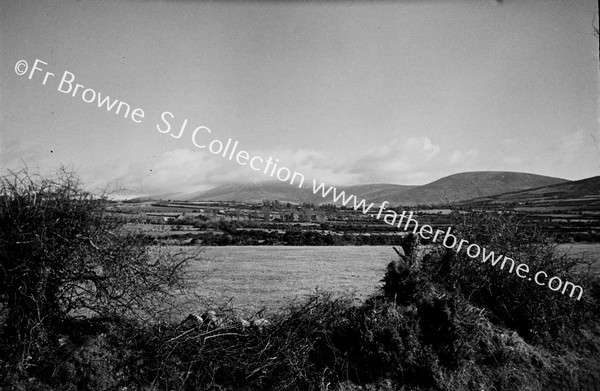 MOUNT LEINSTER FROM BALLYMURPHY